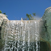 Picture 049